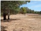 22 Blackstone Road, Blackstone Heights TAS 7250