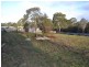 Lot 9 Bridview Place, Bridport TAS 7262