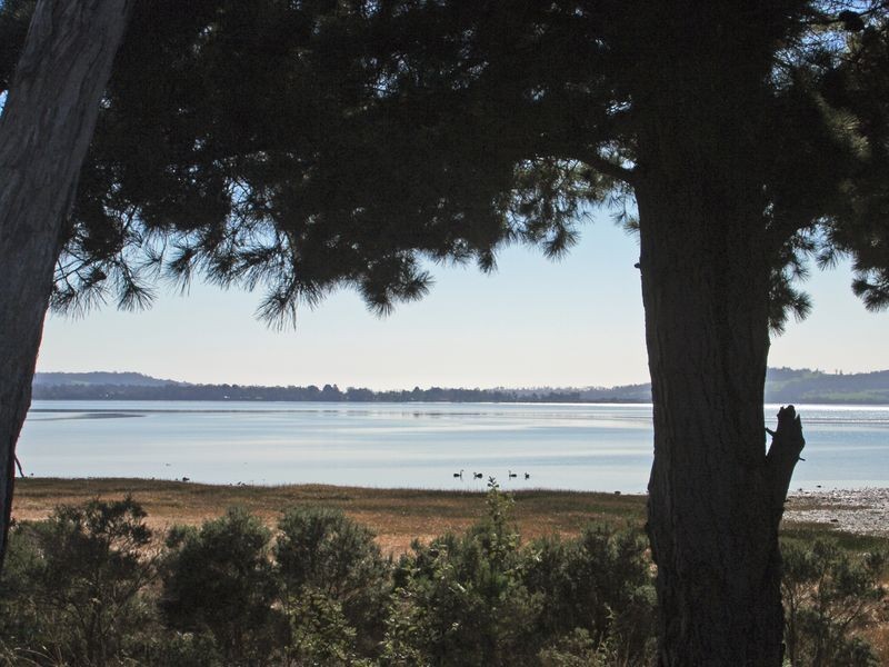 908 Windermere Road, Windermere TAS 7252