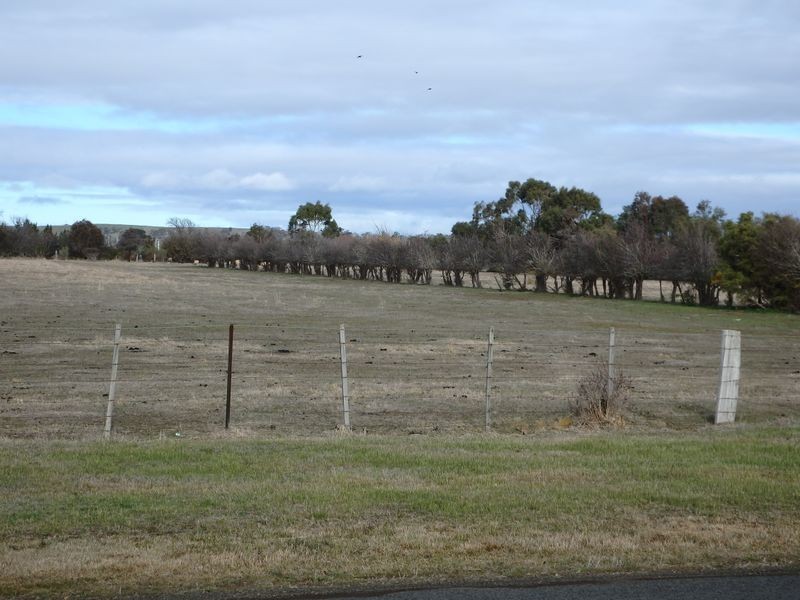 15 Franklin Street, Campbell Town TAS 7210