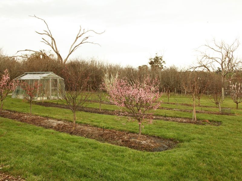 190 Blessington Road, White Hills TAS 7258