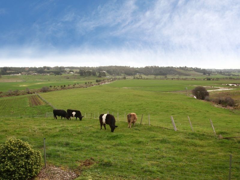 190 Blessington Road, White Hills TAS 7258