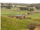 190 Blessington Road, White Hills TAS 7258