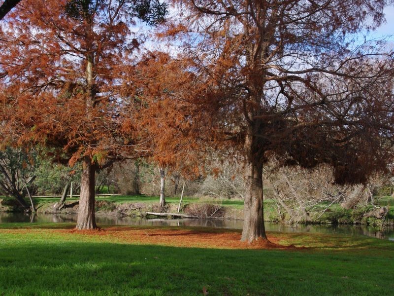 53 West Parade, Deloraine TAS 7304