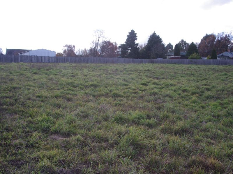 53 West Parade, Deloraine TAS 7304