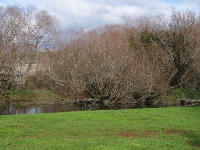 53 West Parade, Deloraine TAS 7304