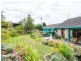 65 Dilston Road, Dilston TAS 7252