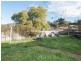 116 Penquite Road, Newstead TAS 7250