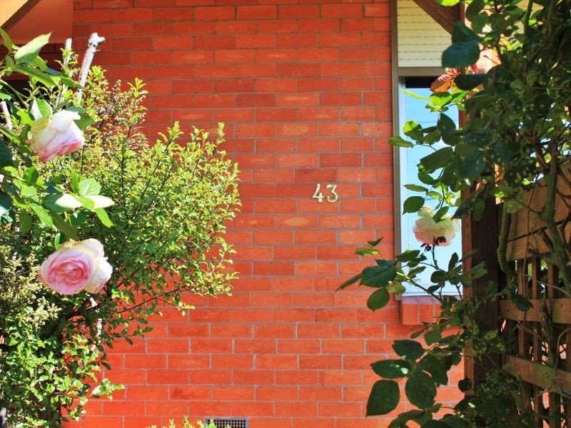 43 Meander Valley Rd, Carrick TAS 7291