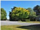 43 Meander Valley Rd, Carrick TAS 7291