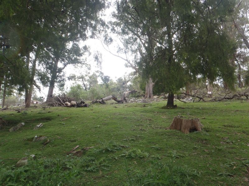 150 Hillwood Jetty Road, Hillwood TAS 7252