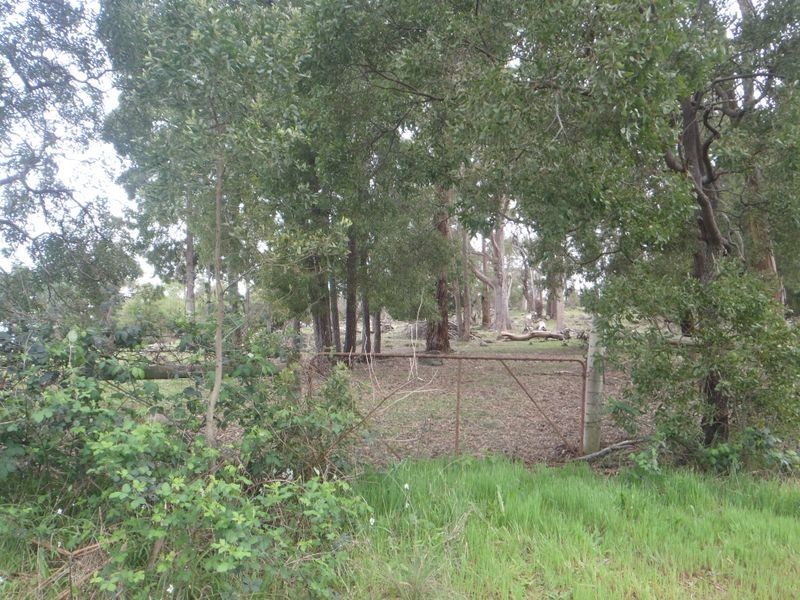 150 Hillwood Jetty Road, Hillwood TAS 7252