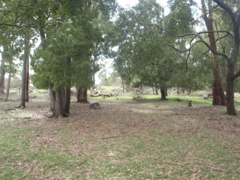 150 Hillwood Jetty Road, Hillwood TAS 7252