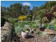 14 Hillwood Road, Hillwood TAS 7252