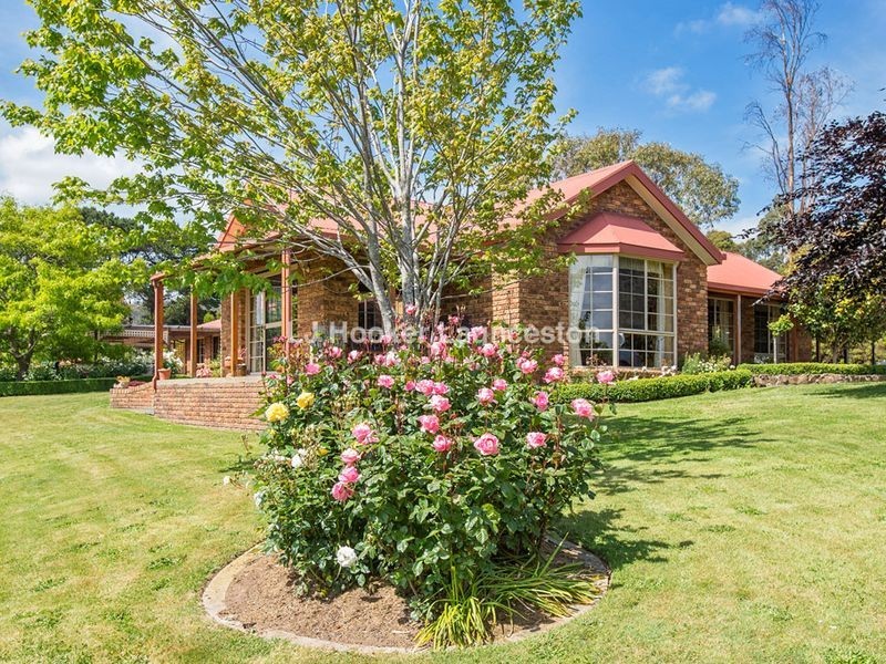 407 Los Angelos Road, Swan Bay TAS 7252