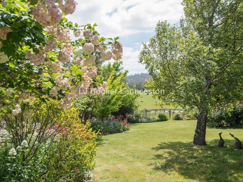 407 Los Angelos Road, Swan Bay TAS 7252