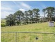 407 Los Angelos Road, Swan Bay TAS 7252