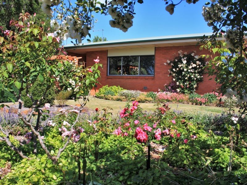 43 Meander Valley Road., Carrick TAS 7291