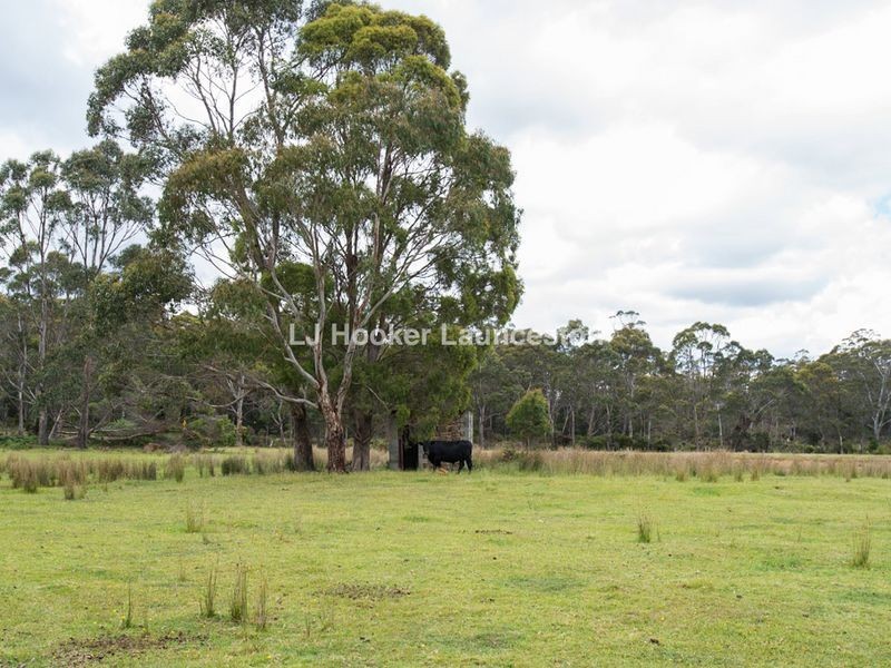 271 Pipers River Road, Turners Marsh TAS 7267