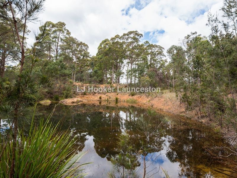271 Pipers River Road, Turners Marsh TAS 7267