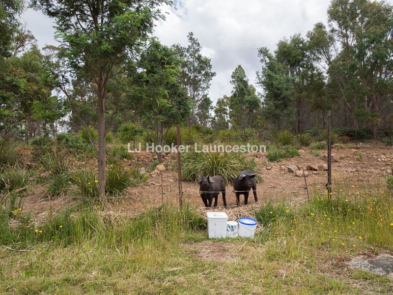 271 Pipers River Road, Turners Marsh TAS 7267