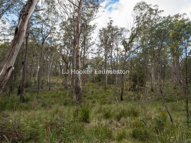 271 Pipers River Road, Turners Marsh TAS 7267