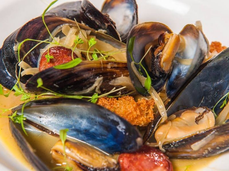 5/61 Cameron Street, Launceston TAS 7250