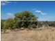 4407 West Tamar Highway, Beauty Point TAS 7270