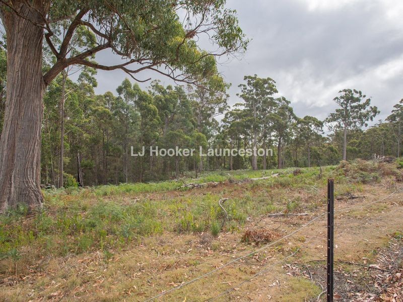 439 Golconda Road, Lilydale TAS 7268