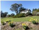 5 Alpine Crescent, Grindelwald TAS 7277
