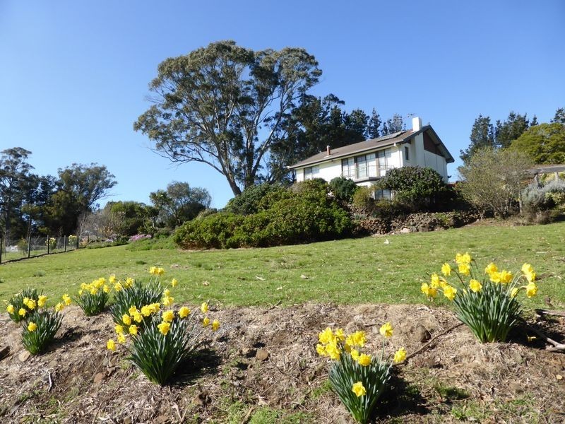5 Alpine Crescent, Grindelwald TAS 7277