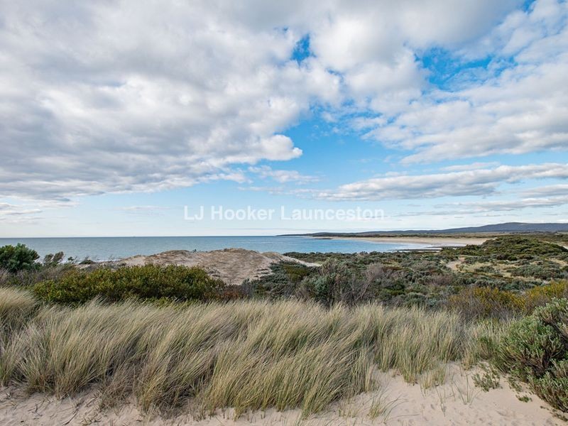 9 Davis Street, Beechford TAS 7252