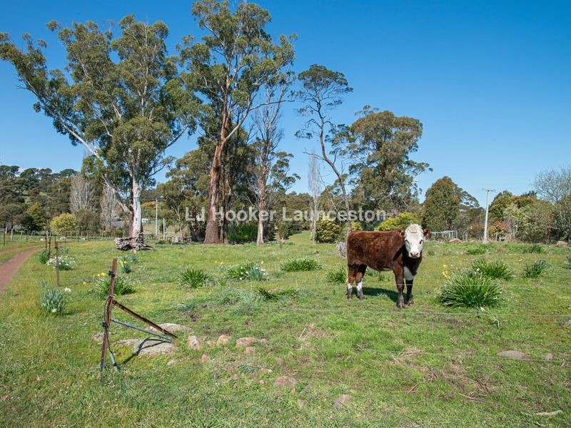 126 Hillwood Jetty Road, Hillwood TAS 7252