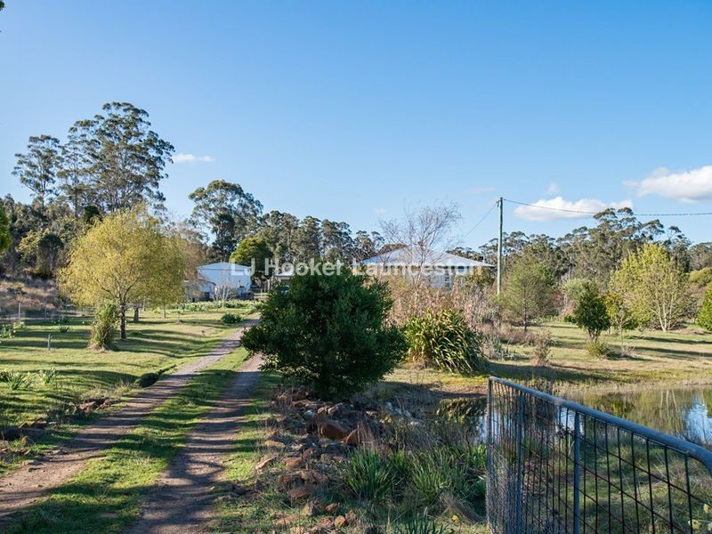 90 Hodgetts Road, Rosevale TAS 7292