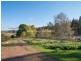 90 Hodgetts Road, Rosevale TAS 7292