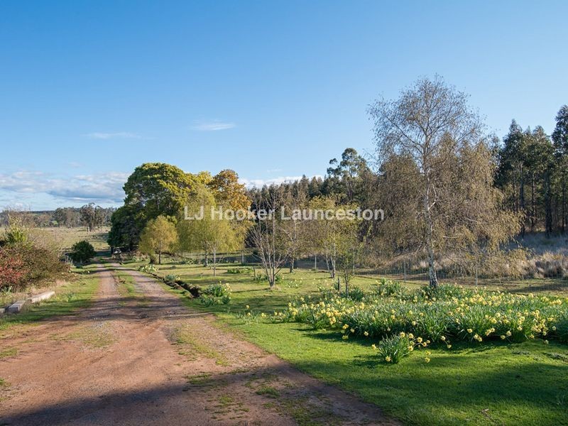 90 Hodgetts Road, Rosevale TAS 7292
