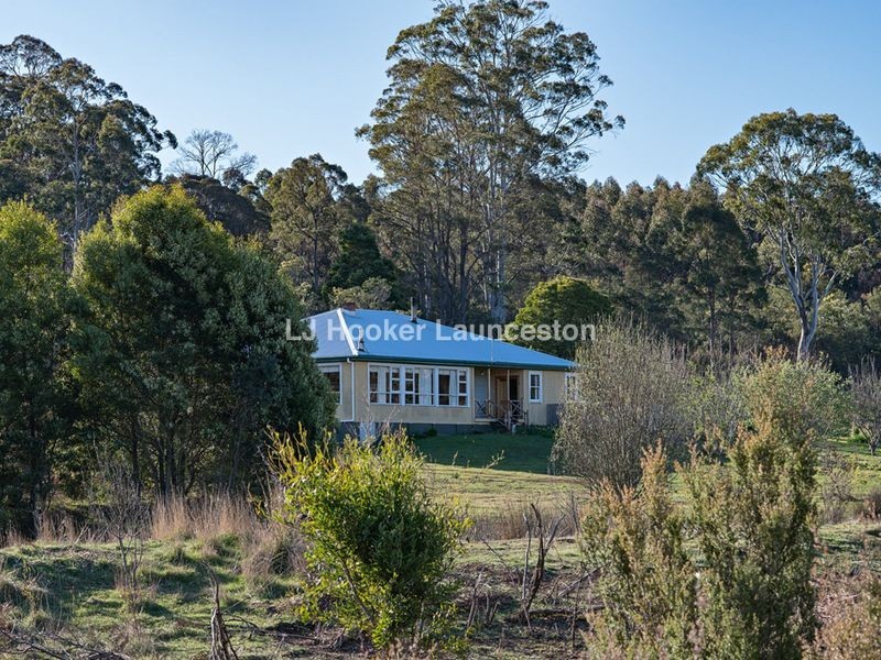90 Hodgetts Road, Rosevale TAS 7292