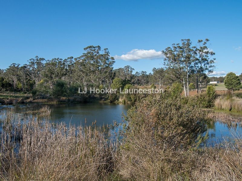 90 Hodgetts Road, Rosevale TAS 7292