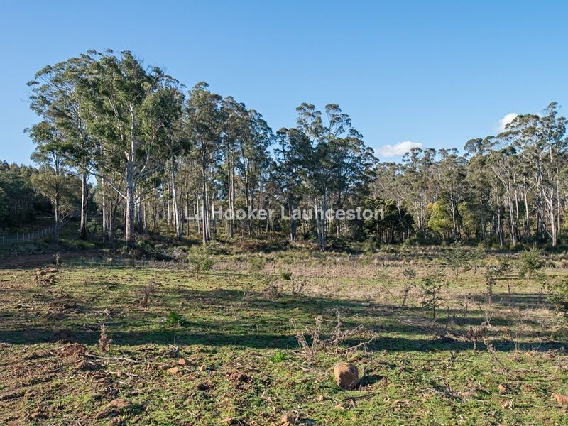 90 Hodgetts Road, Rosevale TAS 7292