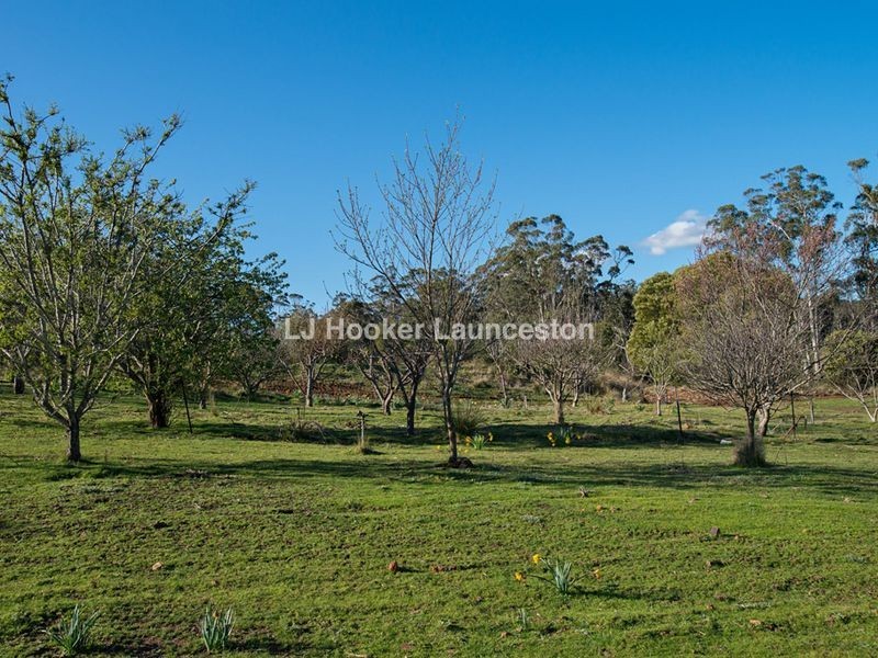 90 Hodgetts Road, Rosevale TAS 7292