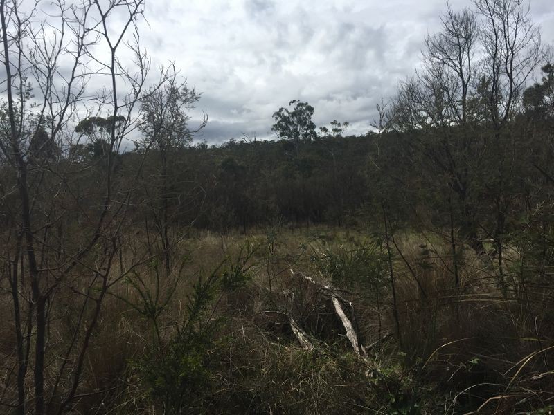 200 Lilydale Road, Underwood TAS 7268