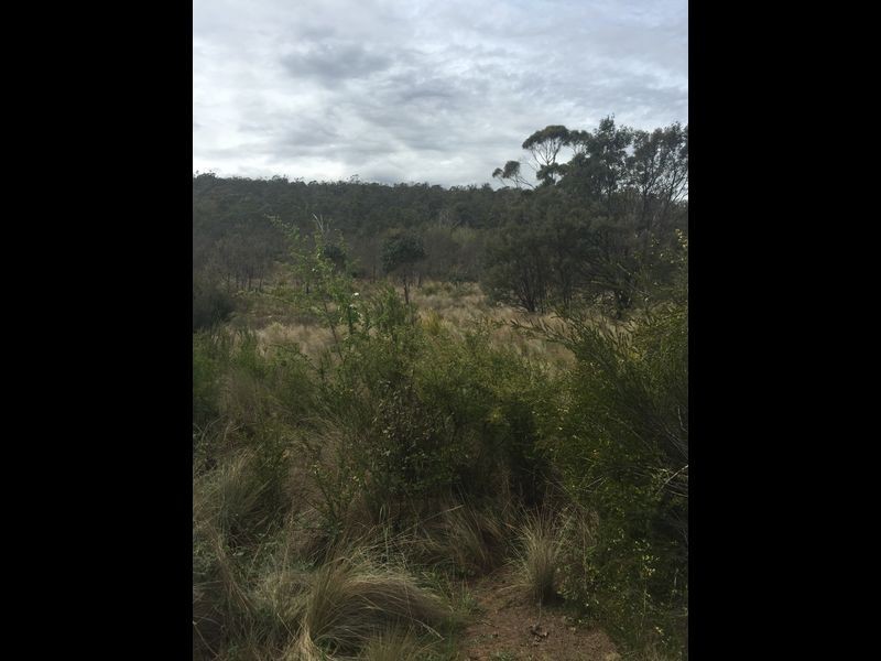 200 Lilydale Road, Underwood TAS 7268