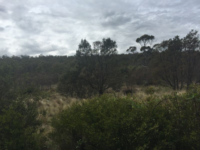 200 Lilydale Road, Underwood TAS 7268