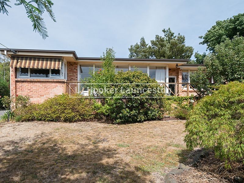 253 West Tamar Road, Riverside TAS 7250