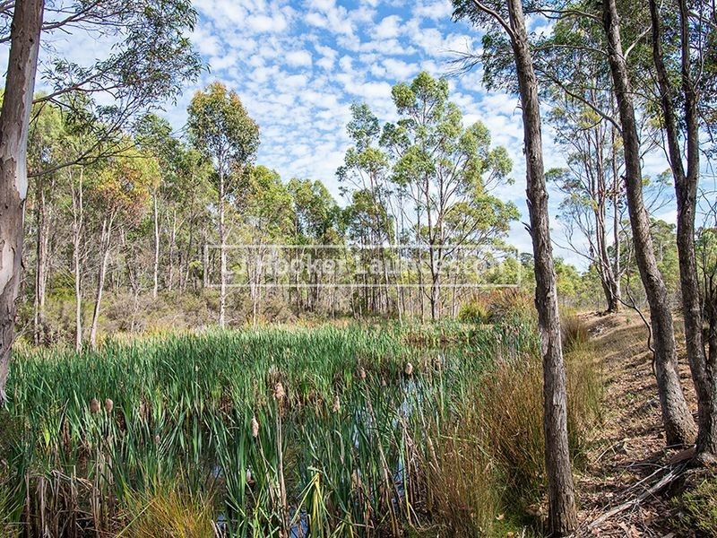 846 Prossers Road, Underwood TAS 7268