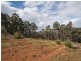 624 Four Springs Road, Selbourne TAS 7292