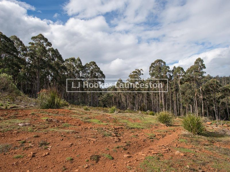 624 Four Springs Road, Selbourne TAS 7292