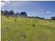 Lot 2/4426 West Tamar Highway, Beauty Point TAS 7270