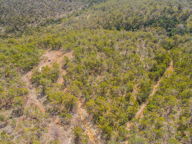 271 Loriwood Drive, Turners Marsh TAS 7267