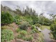 633 West Tamar Highway, Riverside TAS 7250
